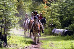 !!!!!AR-BRC-Peuma Hue horseback new.jpg (24655 bytes)