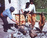 AR-Ombu-asado.jpg (12585 bytes)