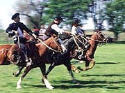 AR-Ombu-gaucho-games.jpg (10747 bytes)