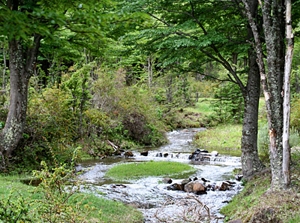 !!!ARG CHT AGUAS ARRIBA hiking stream.jpg (97727 bytes)