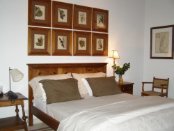 !!!!ARG IBERA Rincon room.jpg (14407 bytes)