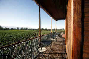 !!!ARG MDZ TAPIZ sitting balcony vu vineyards.jpg (28248 bytes)