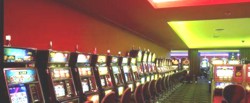 !!!IGU Panoramic slots.jpg (10858 bytes)