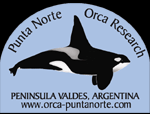 Punta Norte Orca Research logo.gif (8741 bytes)