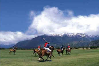 !!R BRC Arelauquen polo horses.jpg (20964 bytes)