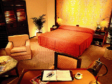 BR-Rio_sofitel-rm3.gif (75888 bytes)