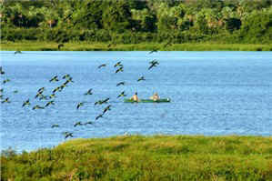 !!!BRA PAN Caiman lake canoe.jpg (34604 bytes)