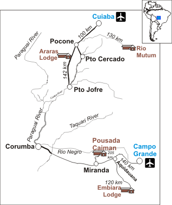 PANTANAL.png (30034 bytes)
