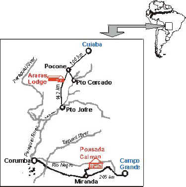 wm-pantnl.jpg (27870 bytes)