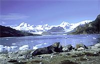 CHI-Mare-Marinelli.jpg (7732 bytes)