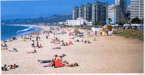 beach.jpg (86843 bytes)