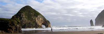 !!!CHI Chiloe Refugia coastline hiker.jpg (43564 bytes)