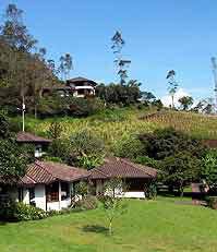 EC-Luna-gardens.jpg (9210 bytes)
