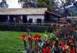 !!!!ECU-Zuleta-vu n.jpg (19568 bytes)