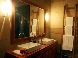 ECU Hamadryade bathroom 2.jpg (40670 bytes)