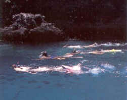 !!!!!!GPS-!!snorkeling-s.jpg (21902 bytes)