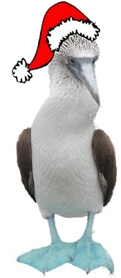 GPS Blue Footed Booby.jpg (42688 bytes)