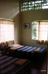 !!!Amazonia Lodge room.jpg (12684 bytes)