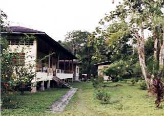 !!!Amazonia Lodge view.jpg (38810 bytes)
