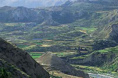 PER-AQP-Colca vu.jpeg (17651 bytes)