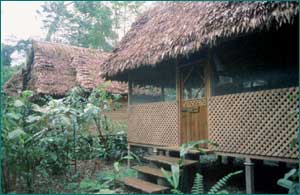 PERU Manu WC bungalow 2.jpg (13230 bytes)
