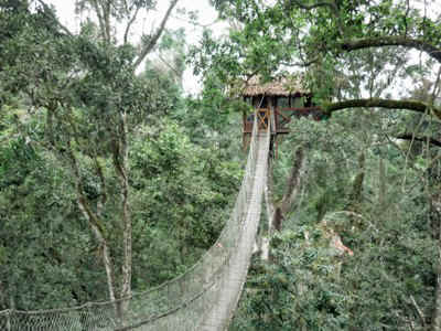 !!!PER PEM Reserva tree house vista.jpg (81932 bytes)