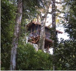 PER Reserva Tree House vu 2.jpg (28270 bytes)