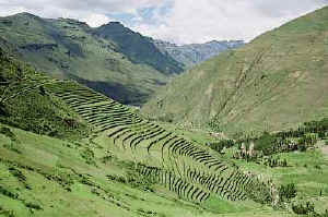 Pisac ruins vu.jpeg (19158 bytes)