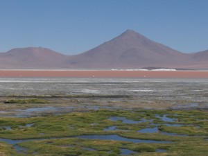 CHI EXPLORA Travesias slta lake flamingos.jpg (14764 bytes)