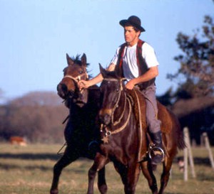 !!URU_Timote_horse_Gaucho.jpg (22953 bytes)