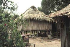 rfd-tucHome.jpg (25578 bytes)