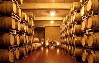 ARG MDZ Cavas Ruca Malen barrels.jpg (30841 bytes)