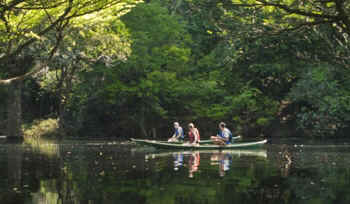 BRA_MAO_Anavilhanas_canoes.jpg (11470 bytes)
